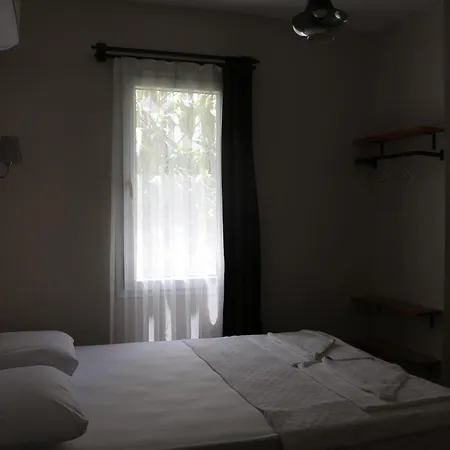 Gazde/Camere de închiriat Holy *