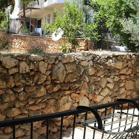 ホームステイ Holy カシュ